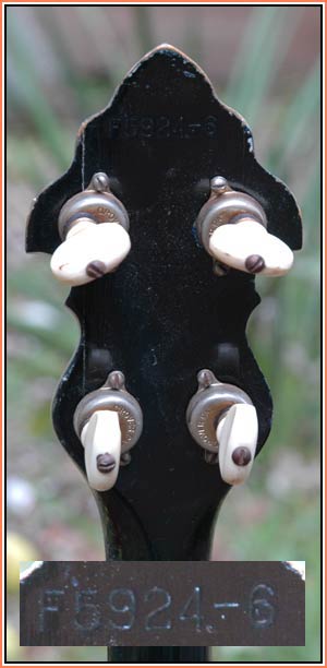 two tab tuning pegs.